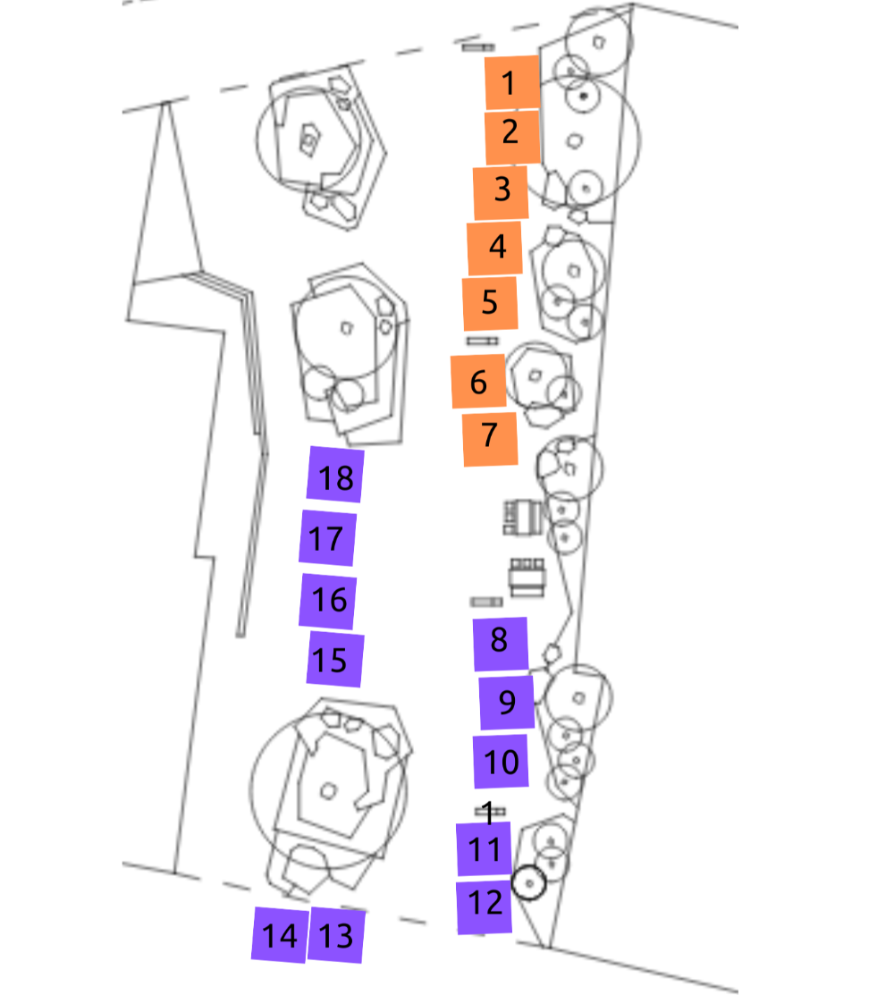 Orange Team - 10th Dec